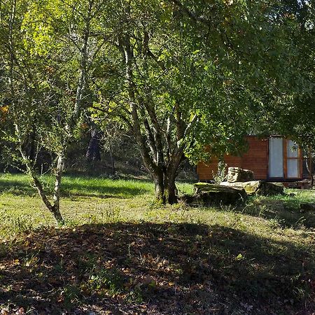Agricampeggio Madonna Di Pogi Bucine Номер фото