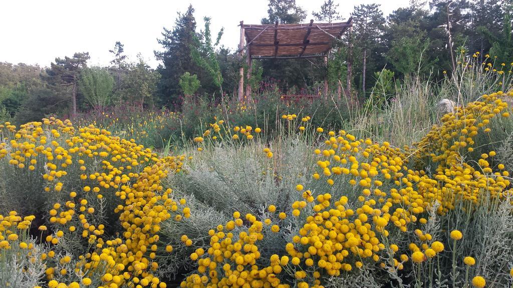 Agricampeggio Madonna Di Pogi Bucine Екстер'єр фото