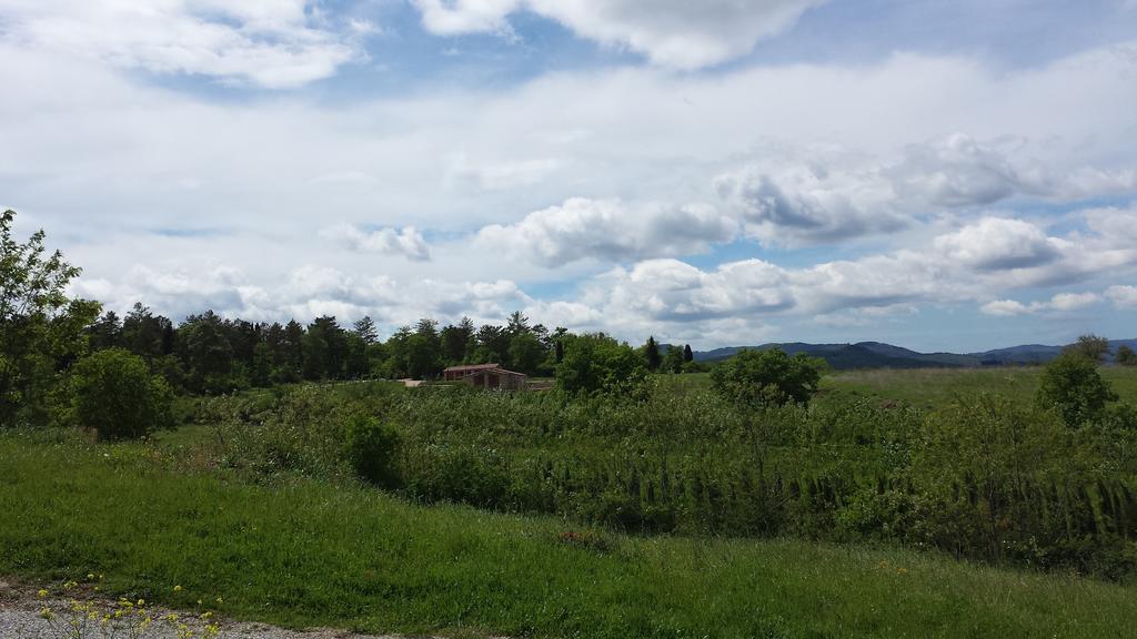 Agricampeggio Madonna Di Pogi Bucine Номер фото