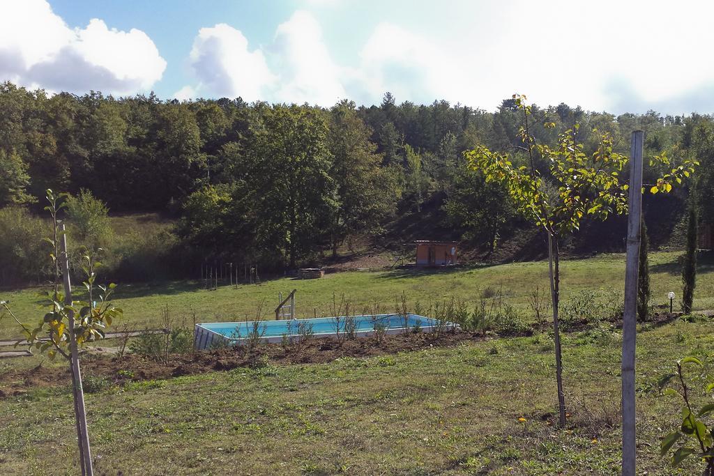 Agricampeggio Madonna Di Pogi Bucine Номер фото