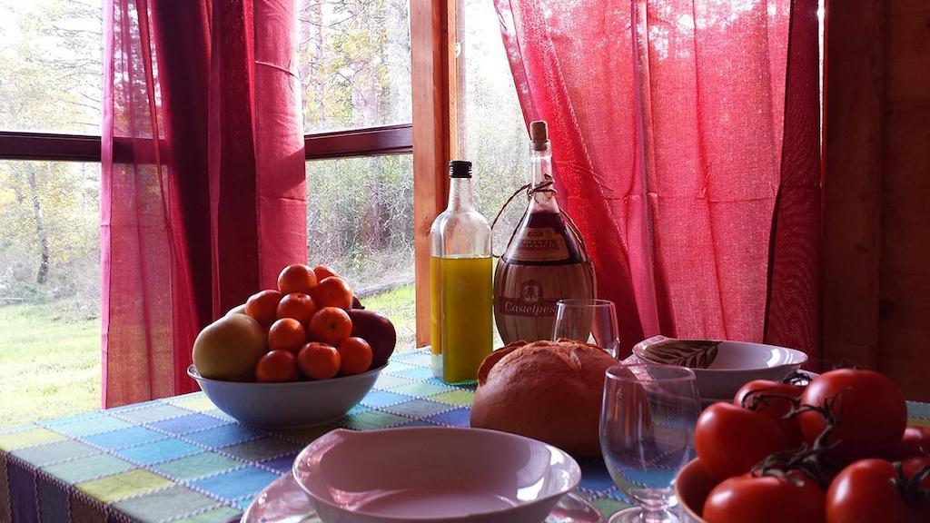 Agricampeggio Madonna Di Pogi Bucine Номер фото