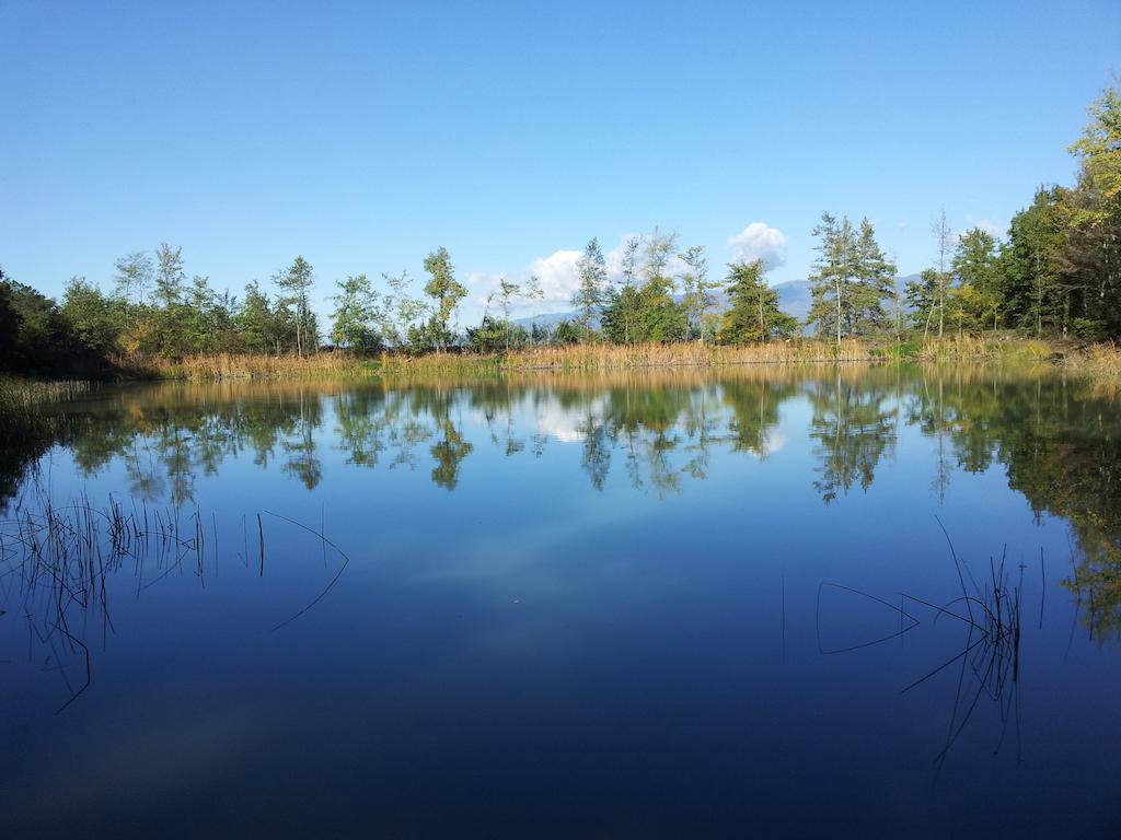 Agricampeggio Madonna Di Pogi Bucine Екстер'єр фото