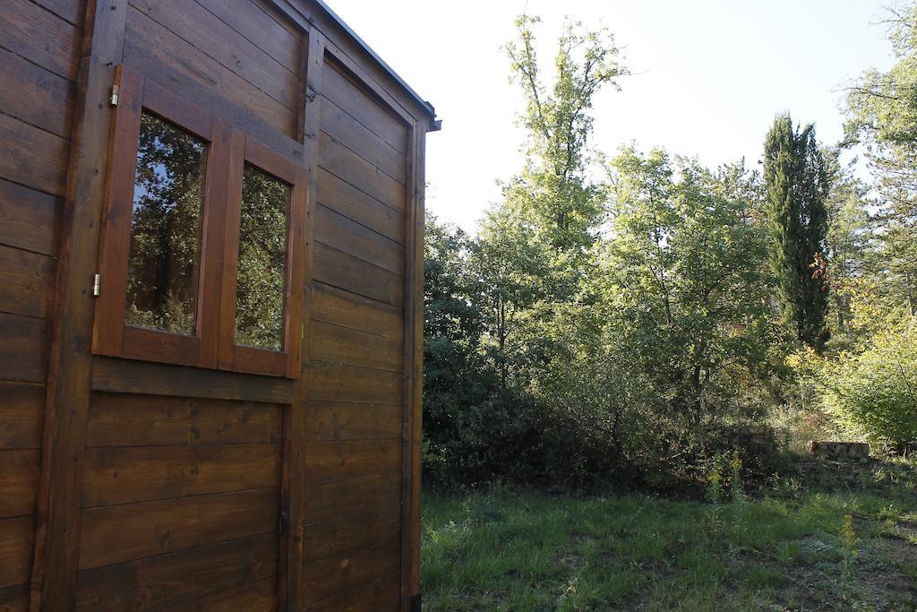 Agricampeggio Madonna Di Pogi Bucine Номер фото