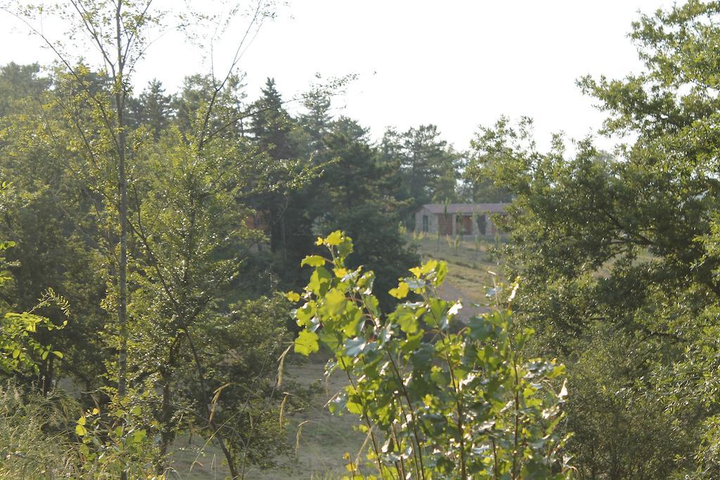 Agricampeggio Madonna Di Pogi Bucine Екстер'єр фото